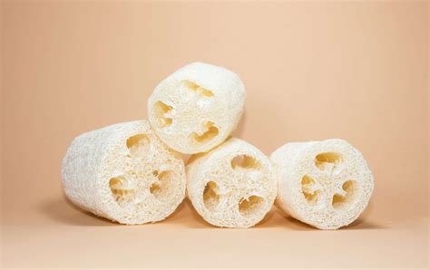 Natural Loofah – EcoRoots