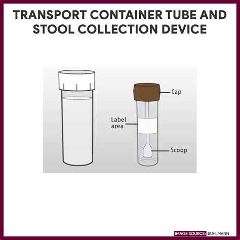 Fecal Analysis (Stool Analysis) Nursing Responsibilities - Nurseslabs