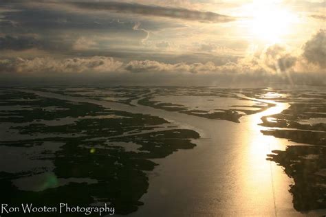 Mississippi River Delta | Mississippi river delta, Ocean conservation ...