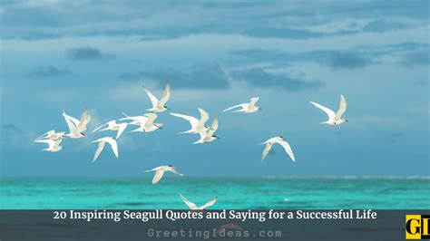 20 Inspiring Seagull Quotes and Saying for a Successful Life