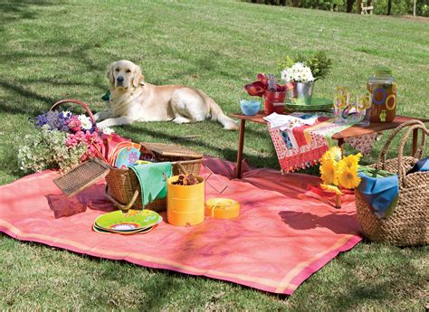 Creative Ideas for Packing the Perfect Backyard Summer Picnic ...