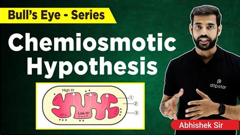 Chemiosmotic Hypothesis | Photosynthesis Class 11 | NEET Biology | ATP STAR KOTA - YouTube