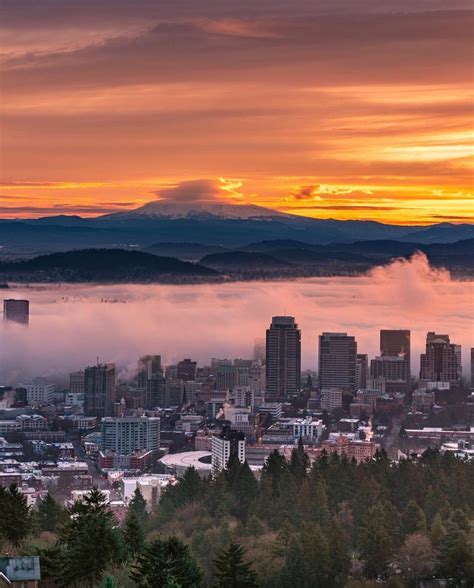 Portland Oregon on Instagram: “Beautiful photo of our city captured by @n1ck_on 🌇🌹 #portland # ...