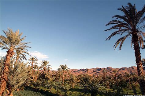 Photography and Journey: Telouet to Tamnougalt, Draa Valley, Morocco.