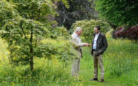 A beginner's guide to prairie planting | The Telegraph