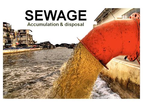 TASA DELHI: SEWAGE AND WASTE DISPOSAL