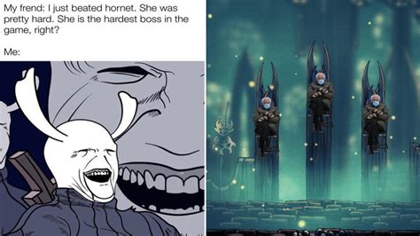 Embrace Your Inner Sadness With These 20 Relatable 'Hollow Knight' Memes | Know Your Meme