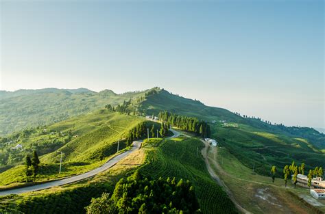 Ilam nepal (tea Garden) ~ हाम्रो नेपाल हाम्रो गौरब नेपालीहुनमा गर्ब छु ...