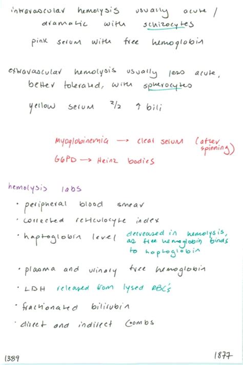 1389. Intravascular vs. extravascular hemolysis // Hemolysis labs ...