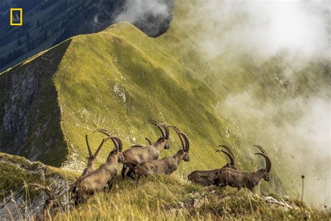 Outstanding Winners of the 2019 National Geographic Photo Contest