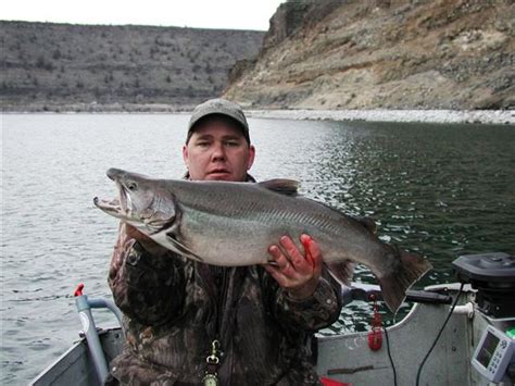 Lake Billy Chinook | IFish Fishing Forum