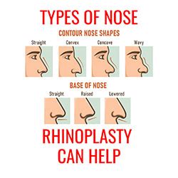 Different Nose Shapes Types