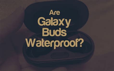 Are Galaxy Buds Waterproof? Answered | Integraudio