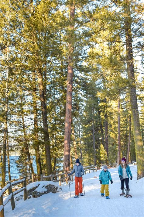 5 Family-Friendly Snowshoe Trails Near Boise | Visit Idaho | Visit idaho, Outdoor fun, Idaho