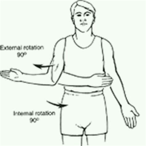 Shoulder Medial Rotation