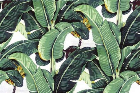 Free download tropical trend into your interior Martiniques iconic banana leaf [1137x758] for ...