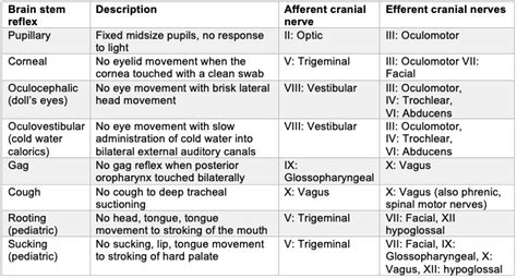 Brain Death or Death by Neurologic Criteria - OpenAnesthesia