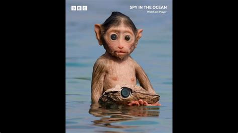 Spy in the Ocean episodes (TV Series 2023 - Now)