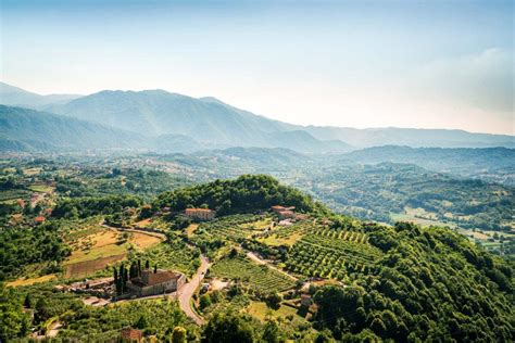 The Most Popular Wine in Abruzzo Is a Rosé | Wine Enthusiast