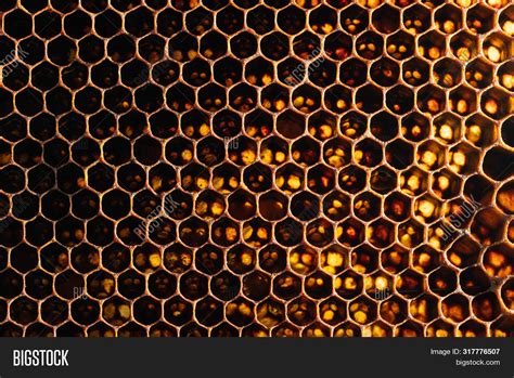 Honeycomb Texture Image & Photo (Free Trial) | Bigstock