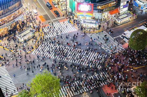 Shibuya crossing from the top, Tokyo, Japan Photograph by Matteo Colombo