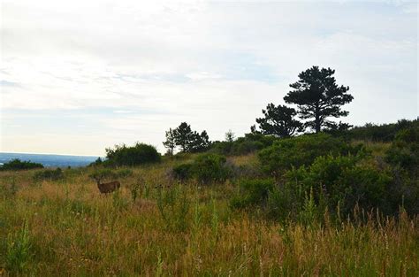 Best Hiking Trails in Fort Collins