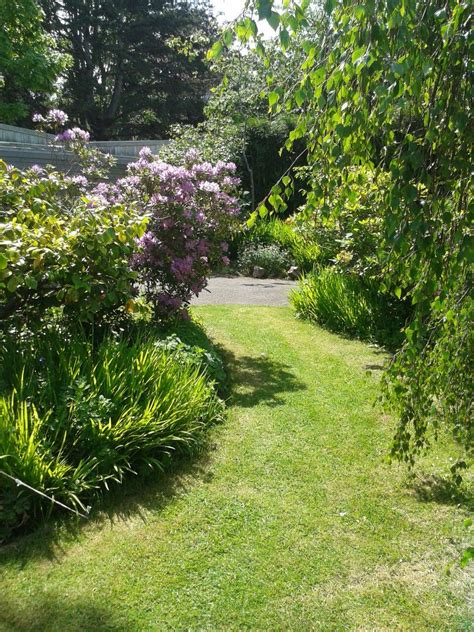 Grass pathway | Pathways, Plants, Patios