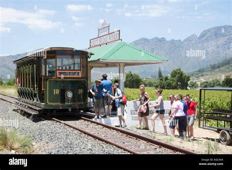 Wine tram ride through vineyards in the Franschhoek Valley Western Cape ...