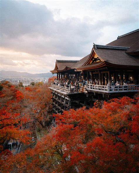 Kyoto in Autumn | Best Spots for Catching Fall Foliage