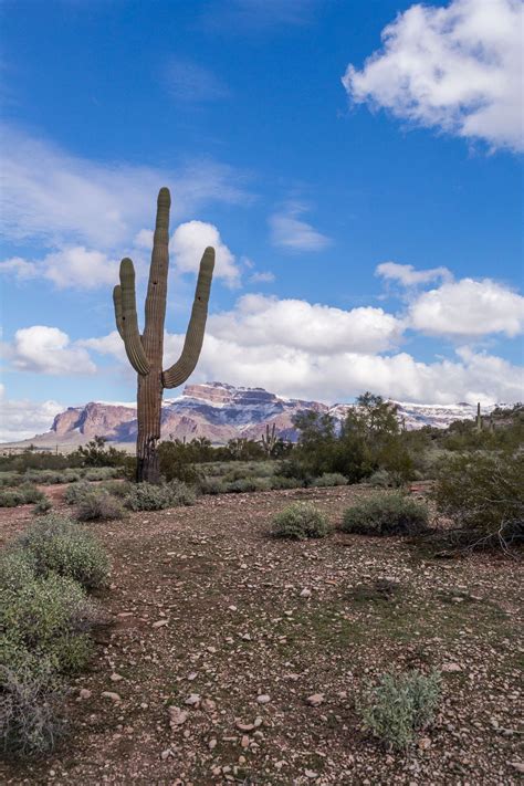 Silly Mountain Park is on the edge of Apache Junction and Gold Canyon ...