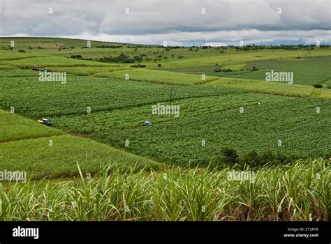 Farming valley in the midlands, Kwazulu Natal, South Africa Stock Photo - Alamy