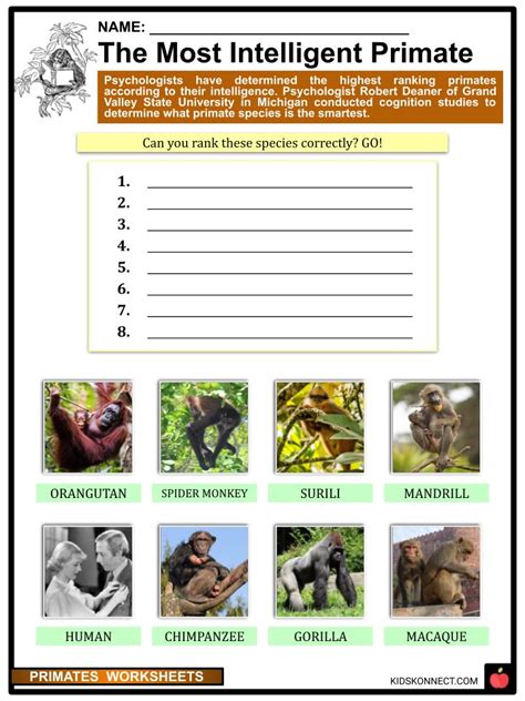 Primates Worksheets & Facts | Evolution, Life-cycle, Classifications