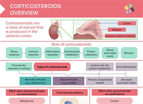 Topical Corticosteroids: Nursing Pharmacology Osmosis Video, 40% OFF