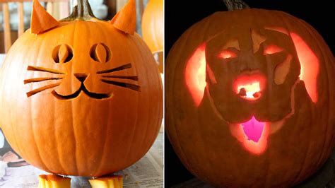 8 spooktacular cat and dog pumpkin carving ideas you will love this Halloween | PetsRadar