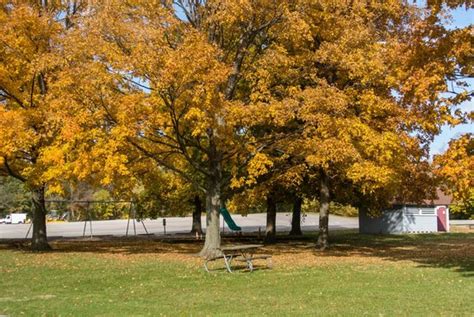 Catawba Island State Park (Port Clinton) - 2020 All You Need to Know ...