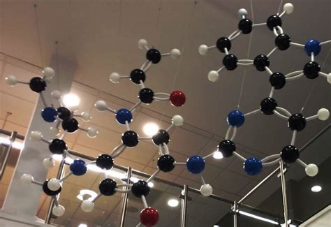 Giant molecular models & model kits for displays and science teaching