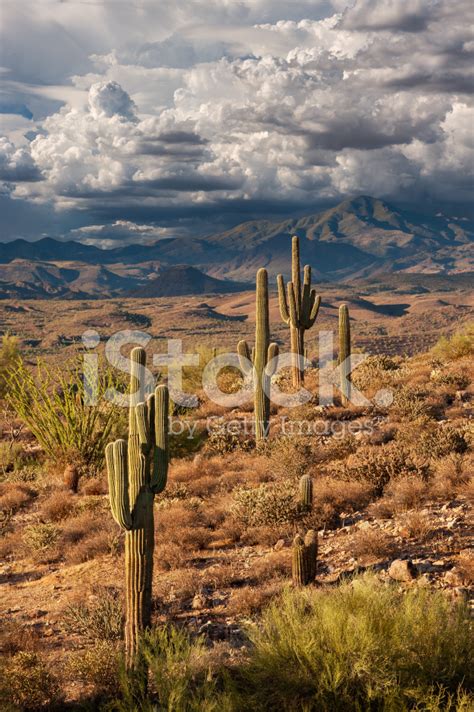 Monsoon Clouds Forming Stock Photo | Royalty-Free | FreeImages