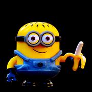 Kostenloses Foto: Minion, Figur, Lustig, Spaß, Blumen - Kostenloses ...