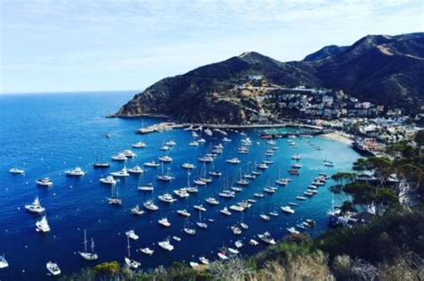 11 Catalina Island Hiking Trails to Enjoy - Go Travel California