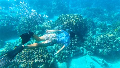 5 Best Big Island Snorkeling Spots (plus how to swim with manta rays) - The Hawaii Vacation Guide