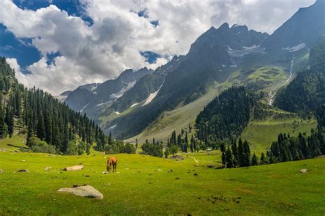 Top 5 Places to Visit in Kashmir on Srinagar Side Trips