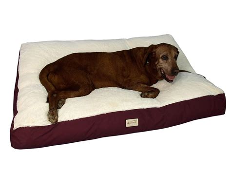 Top 6 Reviews of 2017- How to Choose The Best Dog Beds For Labs?