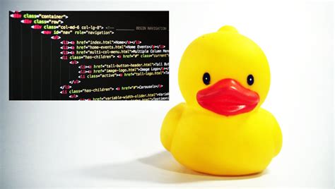 Can I be Your Rubber Duck? Debugging Code With a Friend | ExaVault Blog