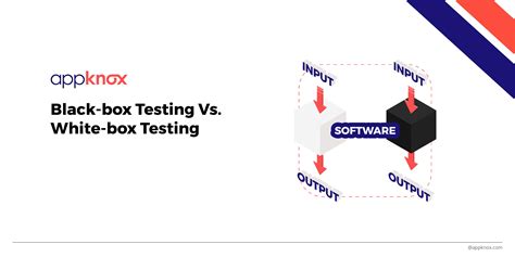 Difference Between White Box and Black Box Testing