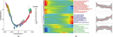 Identification of Monocytes Associated with Severe COVID-19 in the PBMCs of Severely Infected ...