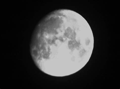 The moon : r/astrophotography