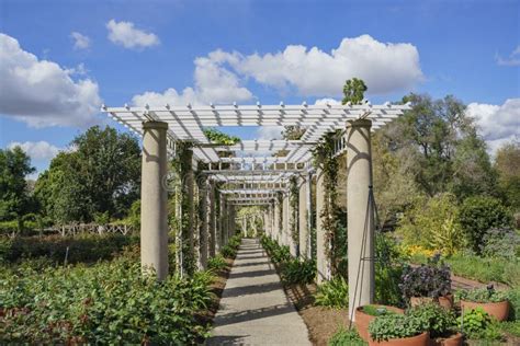 Rose Garden of Huntington Library Stock Image - Image of spring ...