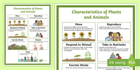 Characteristics of Plants and Animals | Easy to Download