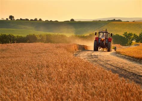 50 Fascinating Facts About Farming in America | Stacker