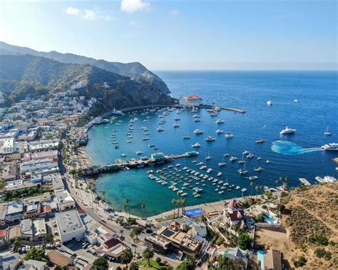 15 Best Catalina Island Tours To Take In 2024